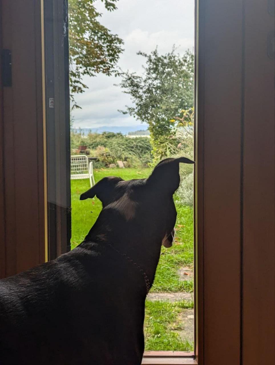 Chalet Sul Trasimeno Sant'Arcangelo  Bagian luar foto